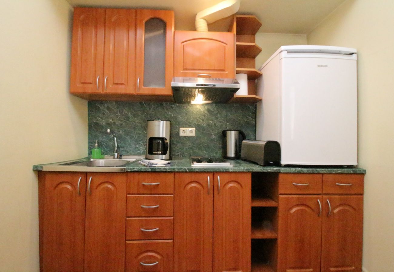 Apartment in Tallinn - 45 m2 1BR near Freedom Square and Town Hall Square 