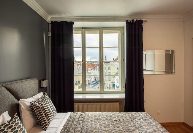 Apartment in Tallinn - 2 BR with sauna on Town Hall with view 