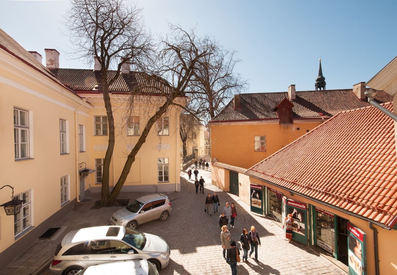 Apartment in Tallinn - Big 2 bedroom in Old Town with high ceilings 
