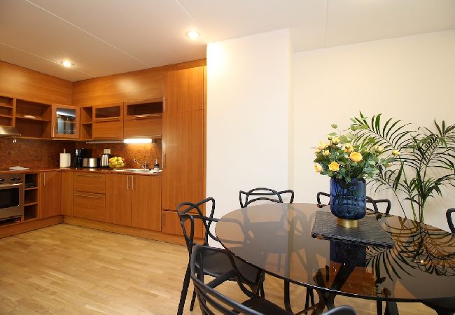 Apartment in Tallinn - 3 bedroom with sauna and terrace next to Town Hall 