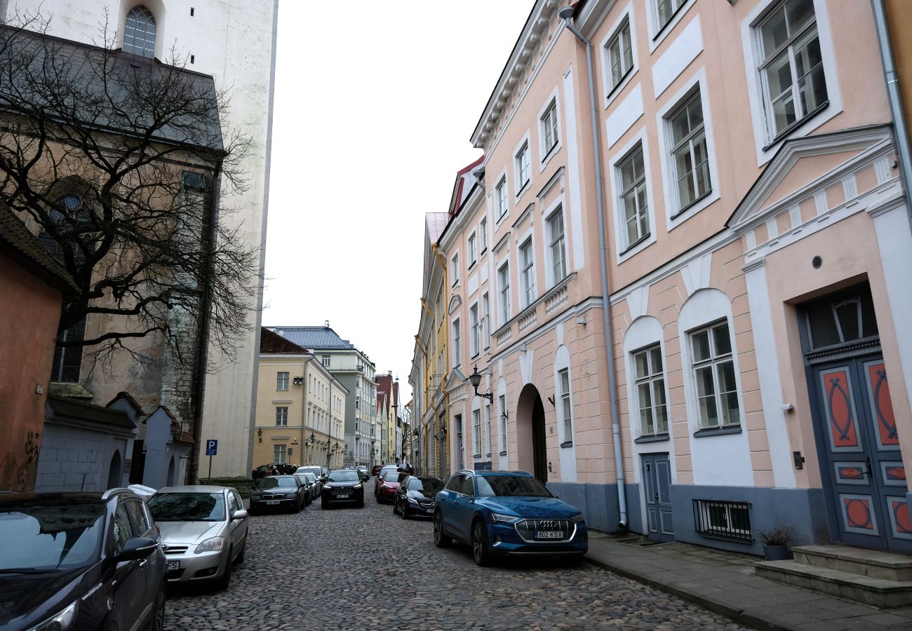 Apartment in Tallinn - Lai 43